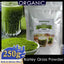 HelloYoung Imported Unsweetened Premium Organic Barley Grass Powder 250g Kosher, Vegan, Bulk. Good Source of Fiber, Protein