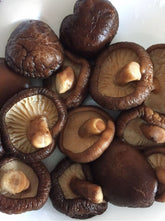 1.1 LB (17.6 oz) 100% NATURAL PREMIUM DRIED SHIITAKE CHINESE MUSHROOM