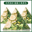 Wellness Tea Mulberry Leaf Bitter Melon Winter Melon Herbal Blend Natural Bags