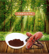500g Wild Reishi Spore Powder Ganoderma Lucidum Lingzhi Tea Mushroom Herbal Tea