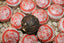 HelloYoung 500g Yunnan Pu-erh Tea Glutinous Rice Fragrance Tuo Tea Ripe Tea 云南普洱茶 糯米香沱茶