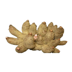 HelloYoung 100% Natural Chinese Herbs Ji Zhua Yu Gan High Quality Herbs Health Care鸡爪芋干250g