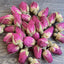 HelloYoung rose tea shandong pinyin rose heavy rose tea rose herbal tea 17.6oz