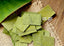 HelloYoung Organic Green Tea Health Chinese Herbal Tea Ecology Lotus Leaf Tea 30g