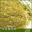 HelloYoung Supply Chamomile crushed flowers organic petals large stock all year round17.6oz