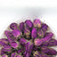 Roses Bulk Rose Tea Heavy Dried Roses 500g