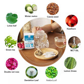 酮茶草本饮食排毒早晨瘦身绿茶减肥