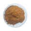 200g High Quality Pure Hops Flower Extract 10:1 Powder