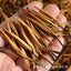 HelloYoung 500g Yunnan Yunnan black tea Fengqing big gold needle honey golden needle tea