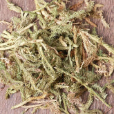 Organic Herbal Common Clubmoss Herb Herbal Lycopodii Great Quality