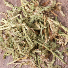 Organic Herbal Common Clubmoss Herb Herbal Lycopodii Great Quality