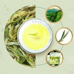 HelloYoung 200g High Quality Alpine Cloud Mist Tea Top Maojian高山云雾茶毛尖谢裕大黄山毛峰绿茶茶叶传统古法实惠袋装