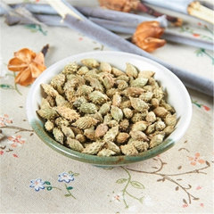 100% natural Top Quality Cang Er Zi (Fructus Xanthii)500g 苍耳子 Chinese herb