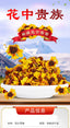 HelloYoung Snow Chrysanthemum 20g Chrysanthemum Hangzhou White Chrysanthemum Herbal Tea