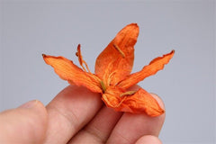 200g Lily Scented Tea Cake Natural Organic Herbal Tea Lungs Cough Sedative Tea