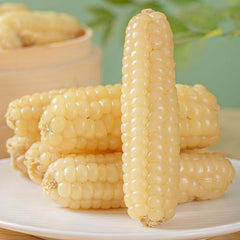 Yunnan Xishuangbanna Thumb Corn – Grade A Sticky Dai Specialty (500g)