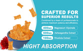 Magnesium Glycinate Gummiesease mood gummy fruit flavored gummies 60 capsules