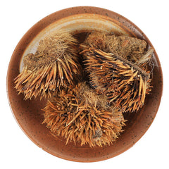 50g 100% Organic Top-grade Authentic Hedgehog Skin Ciweipi Healthy Care