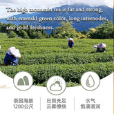 Milk Oolong Tea Taiwan Jin xuan Tie Guan Yin Green Tea Milk fragrance