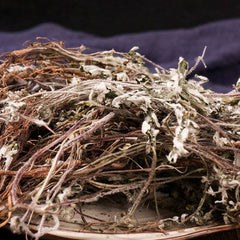 Herbe de qualité supérieure Potentillae Discoloris Discolor Potentille