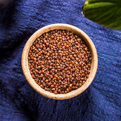 HelloYoung Wanming Longzhu black buckwheat tea cans buckwheat tea herbal health tea 17.6oz