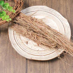 Pure Natural Herbal Rough Melic Herb Pogonatherum Crinitum Great Quality
