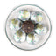 Yunnan Shu Puer Mini Tuocha Pu Er Loose Tea Natural Healthy Chrysanthemum Flavor