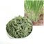 Dried organic Lemongrass leaf slices(2-3cm cut) For Enhance Flavor pure Natural