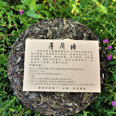357g/12.59oz Zhonghong India Mint Tang Pu'er Tea Top Ancient Pu'er Green Tea