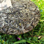 HelloYoung Jingmai Ancient Tree Pu'er Tea Gift Tea Spring Tea Pu'er Tea Cake 357g