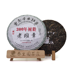 HelloYoung 357g Yunnan Pu'er Tea Cake Early Spring OldBanzhang SevenSeed Cake Pu'er Raw Tea