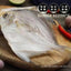 Salty Dried Small Pomfret Homemade Sun-Dried Fish Seafood Snack
