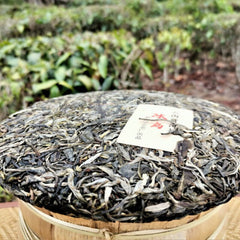 HelloYoung High Quality Pu'er Tea Cake Icelandic Bingdao Ancient Tree Pu-erh Tea 357g
