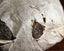 HelloYoung 100g Yunnan Ripe Pu-Erh Tea Mini Tuo Cha Handmade Ancient Trees Pu'er Blck Tea