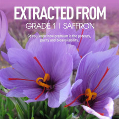 Saffron Gummies Sugar Free Rhodiola Rosea Saffron Extract Gummy