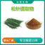 Pine Needle Extract Powder 20:1 - Water Soluble Concentrate Herbal Tea