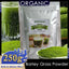 Barley Grass Powder 250g RAW, GREENISH LIKE LEAVES, NO PRESERVATIVE,NON GMO
