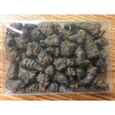 Black Radix Pseudoginseng 黑田七頭500g , good quality and price