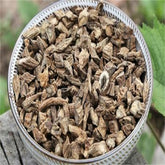 Chinese Herbal 100% Natural Top-grade Dried Teasel Root Xu Duan 250g 川断 续断