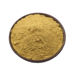 100g High-Potency Chlorogenic acid 25% HONEYSUCKLE FLOWER EXTRACT POWDER