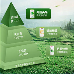 HelloYoung 100g Chinese Tea Anji Baicha White Tea One Bud One Leaf Early Spring Green Tea