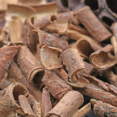 Dried Cortex Acanthopanacis, South Cortex Bark of the slender acanthopanax