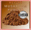 ✅ Reishi Mushroom Powder - Premium Quality Organic - QUICK POST