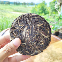 HelloYoung 100g Icelandic Pu'er Tea, Yunnan Mengku Old Tree Cake Spring Pu'er Tea