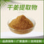 100g Dried Ginger Extract Powder Water Soluble | Warming Herb | Vegan