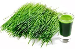 HELLOYOUNG Pure Fresh Green Wheat Grass Powder 1KG -100% Pure, TOP Grade