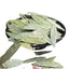 HelloYoung Senna Dried Leaf Herbal Herbal Tea Loose Leaf Cassia Senna 100% Natural