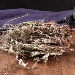 Herbe de qualité supérieure Potentillae Discoloris Discolor Potentille