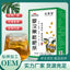 Monk Fruit Chrysanthemum Tea with Honeysuckle Orange Peel Herbal Blend