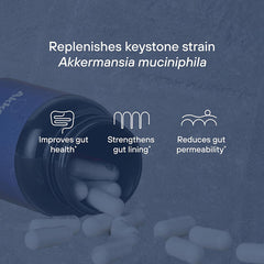 Akkermansia Muciniphila Probiotic - 30 Caps - Gut Health Support, New Formula